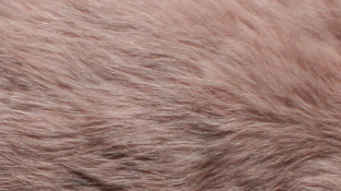 Pink rabbit pelt